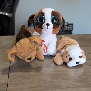 Set Of 3 Plush Dogs By Ty Beenie Babies And A Beenie Boo